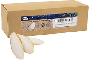 Birds LOVE Natural Cuttlebone – Premium Calcium & Trace Mineral Supplement for Avian Species, Tortoises, and Snails – Pure Cuttlebone for Parakeets, Cockatiels and All Birds - 3 Pack, Size 5.5 to 6"