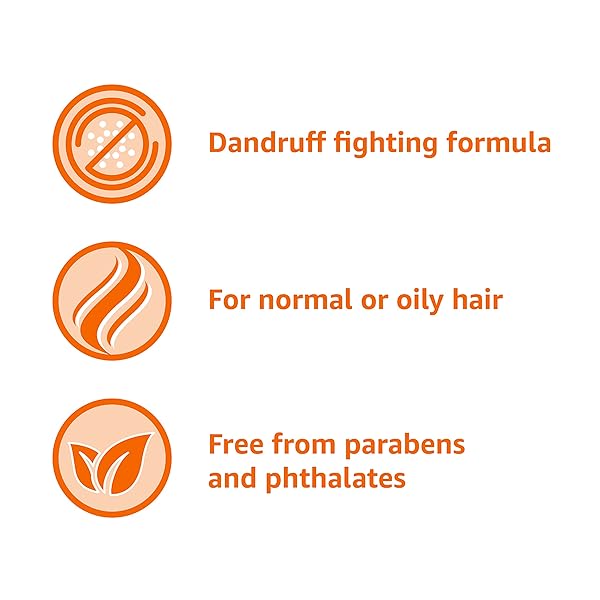 AMAZON BASICS DANDRUFF SHAMPOO FOR NORMAL TO OILY HAIR, 28.2 FLUID OUNCES, 1 PACK