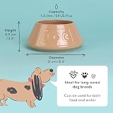 Mason Cash Cane Non Tip Dog Bowl 21 cm Ceramic Food Water Dish view 5