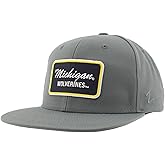 Michigan Wolverines NCAA Officially Licensed Hat Flat Snapback Z11 Brick Gray