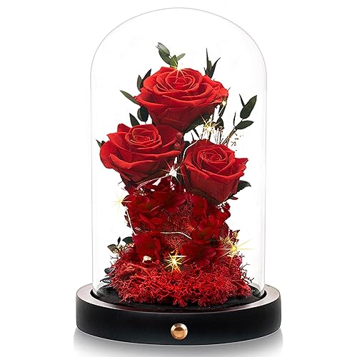 Flowers Roses Gifts for Mom,Forever Real Preserved Roses in Glass  Dome,Mothers Day for Wife Girlfriend Women Best Friend Grandma/Red Rose in  Kuwait