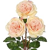Arborus Artificial Roses - Set of 3 Long-Stem Real Touch Silk Roses, 24.4" Faux Flowers for Home Decor, Wedding Bouquets, Centerpieces & Floral Arrangements – Lifelike Peach Fake Roses