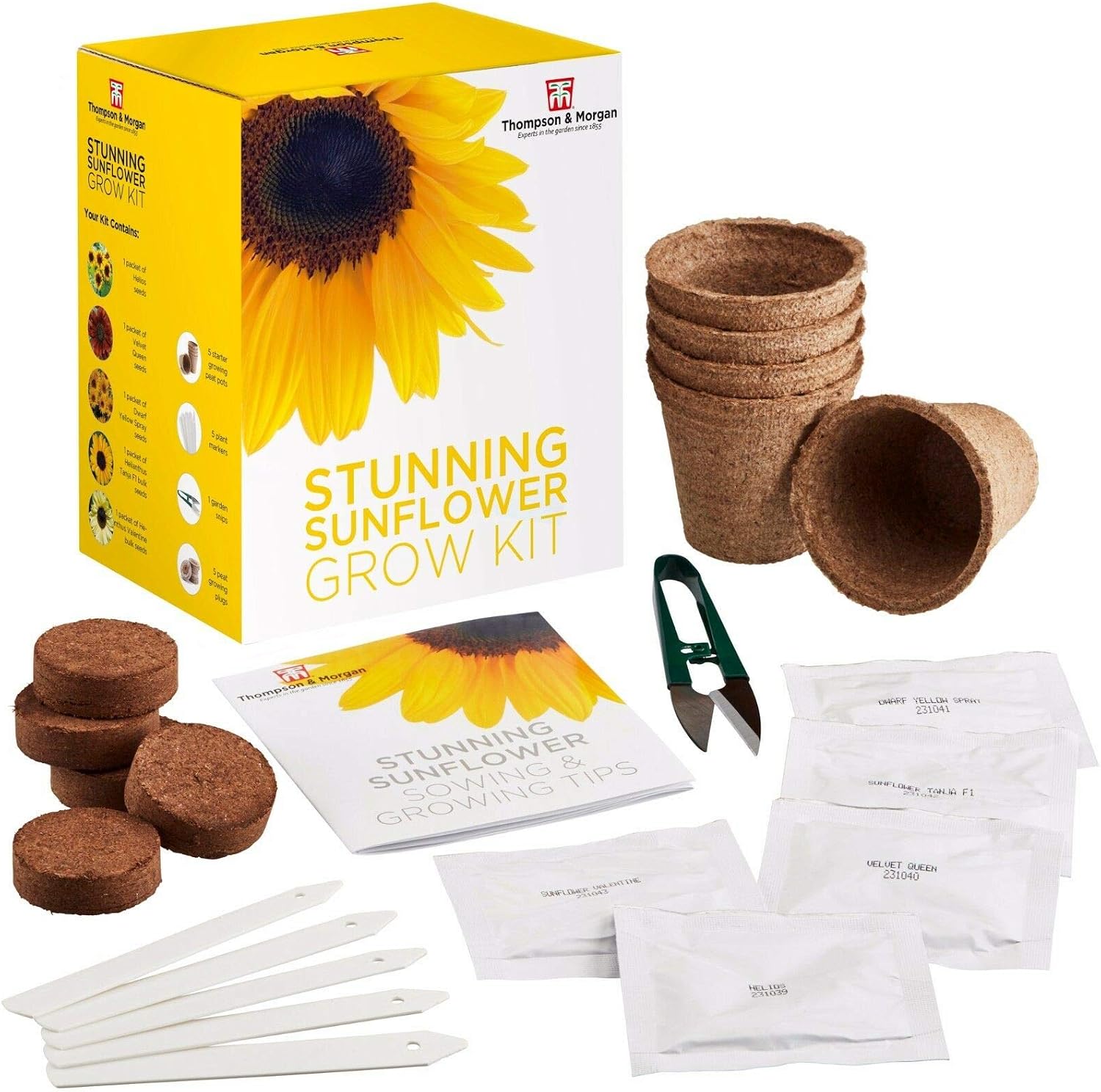 Stunning Sunflower Seed Growing Kit, Grow Your Own 5 Varieties of Contrasting Flowers in one Seed Grow Kit - Image 5