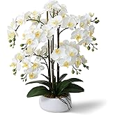 Ziwon Artificial Orchid Flowers & Plants Potted in Ceramic Pot, White Faux Phalaenopsis Orchids for Table Centerpiece, Realistic Fake Flower Arrangement for Home Office Decor Indoor