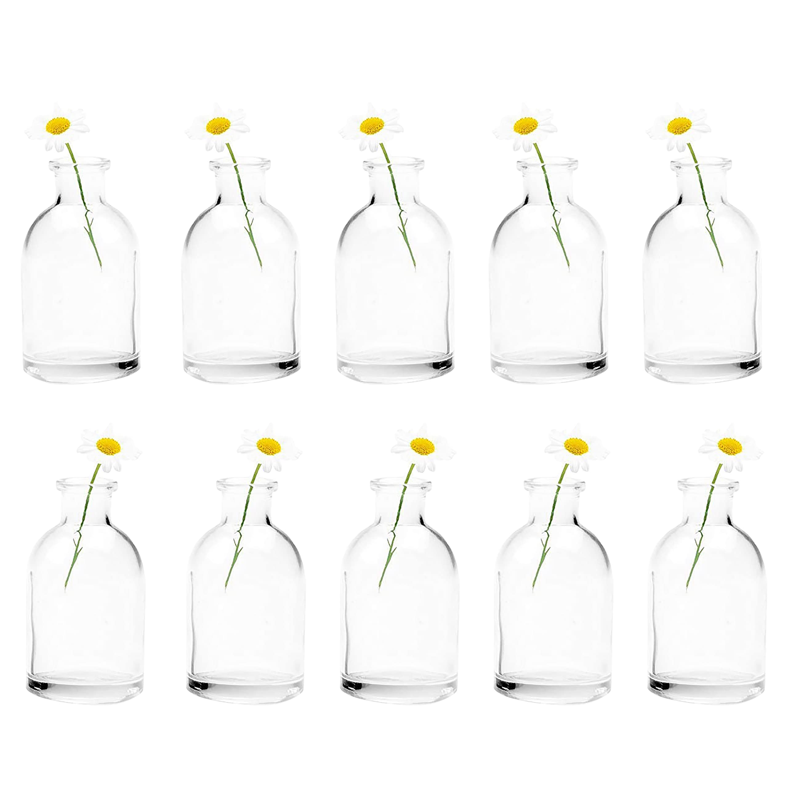Chive ‘Loft’ Small Flower Vase — Cute, Beautiful Glass Vase for Flowers & House Plants — Set of 10 — Tall Bottle