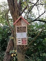 Buddy Wild Insect Bee House - Eco-Friendly Bug Hotel for Garden view 3