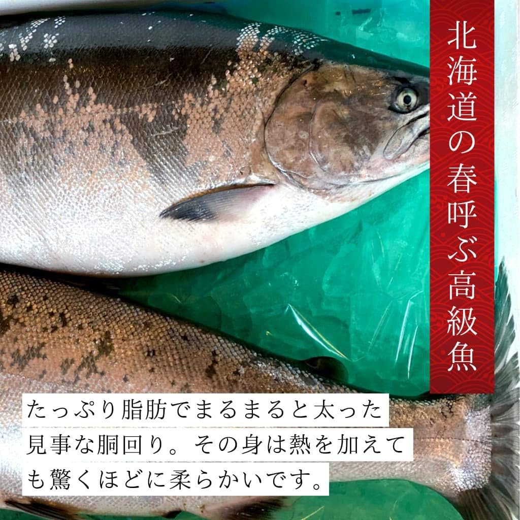 Amazon 小樽前浜産サクラマス半身切り身のセット 飯坂冨士商店 漬け 酢〆魚 通販