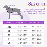 rabbitgoo Dog Harness Medium No Pull Reflective Adjustable Padding Purple Yellow view 2