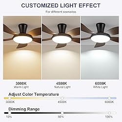 PHORUS Low Profile Ceiling Fans with Lights and