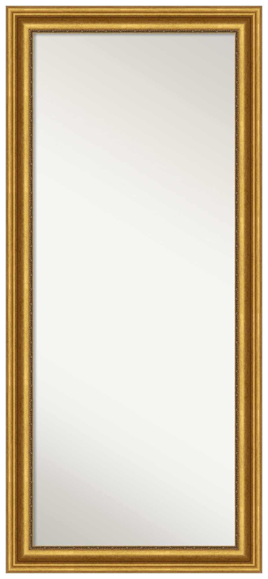 Photo 1 of **********************Damaged backing*******************
Amanti Art Gold Full Length Mirror, 66x30 Parlor Gold Tall Free Standing Body Wall Mirror Full Length for Dressing, Traditional Frame, Lean on Floor or Hang, Wall Decor from WI, USA