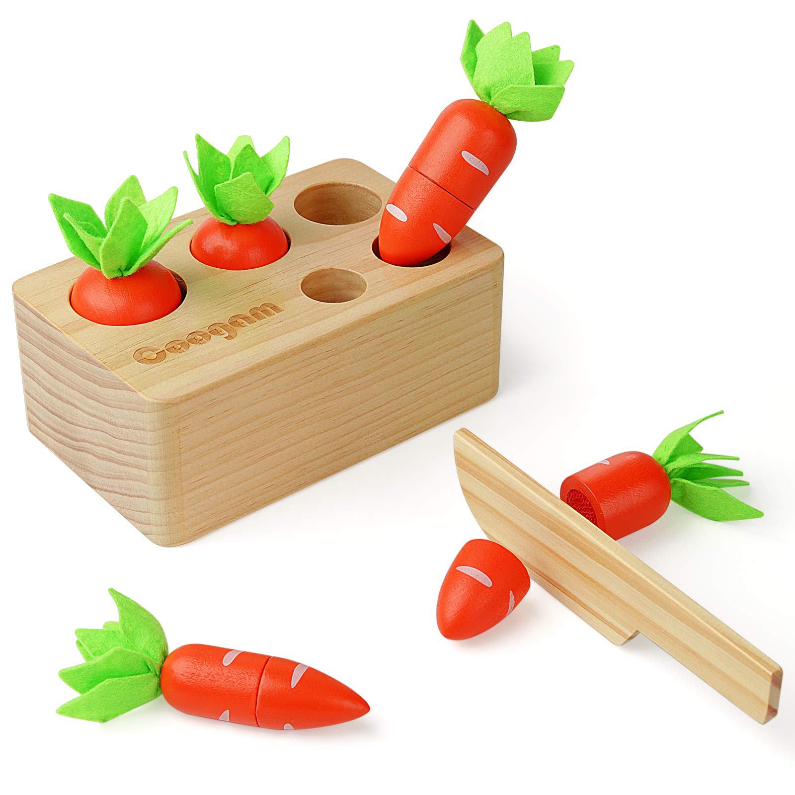 Coogam Wooden Carrot Sorting Toy, Color Shape Sorter Cutting Harvest Matching Game for Toddler Fine Motor Skill, Early Learning Preschool Educational Gift Toy