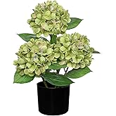 Hollyone Green Hydrangea Artificial Flowers Plant Potted 19.7" Faux Silk Hydrangea Flower Tree Arrangements for Home Bathroom Office Table Centerpiece Shelf Decorations