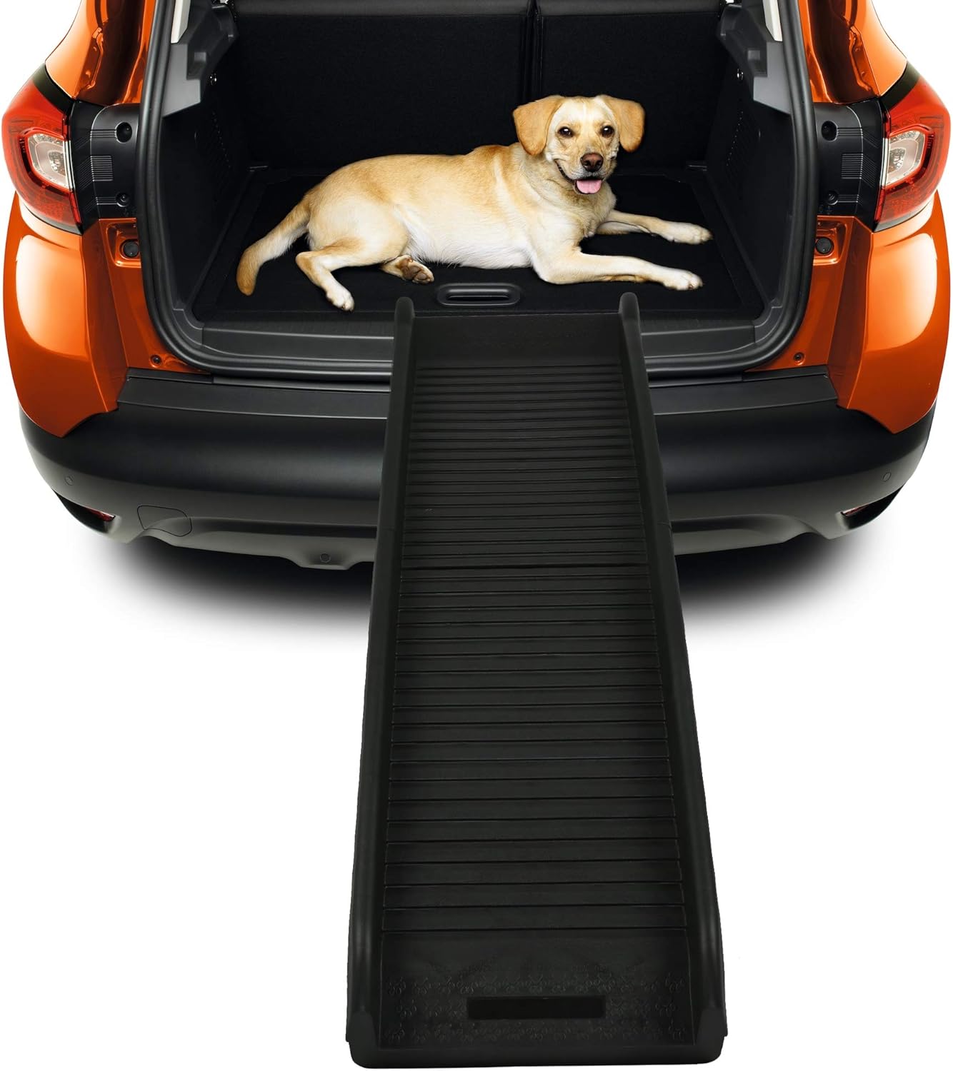 LONABR 60 Inches Dog Ramp Portable Folding Pet Ramp Non