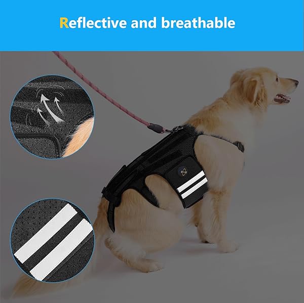 COODEO DOG BACK BRACE FOR DOGS ARTHRITIS, PET BACK BRACER FOR IVDD, BACK PROTECTOR HELPS PAIN RELIEF, SURGICAL RECOVERY AND REHABILITATION, DOGS BACK DISEASE PREVENTION. (BLACK,X-LARGE)