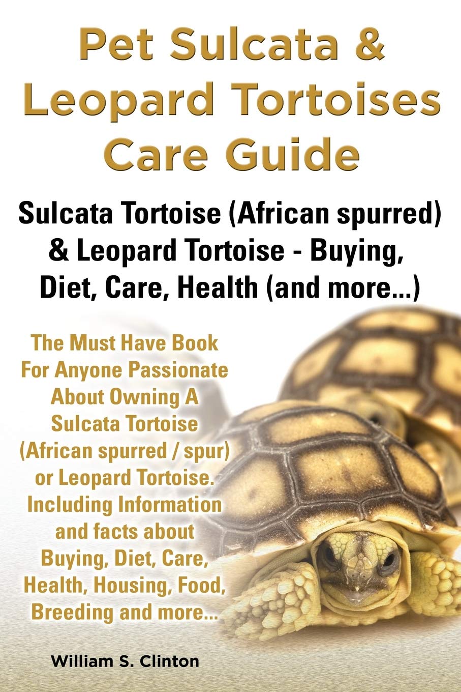 african spurred tortoise food