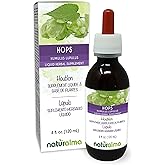 Naturalma Hops (Humulus lupulus) strobilus or Cone (Female Flowers) Alcohol-Free Tincture - 4 fl oz Liquid Extract in Drops - Herbal Supplement - Vegan