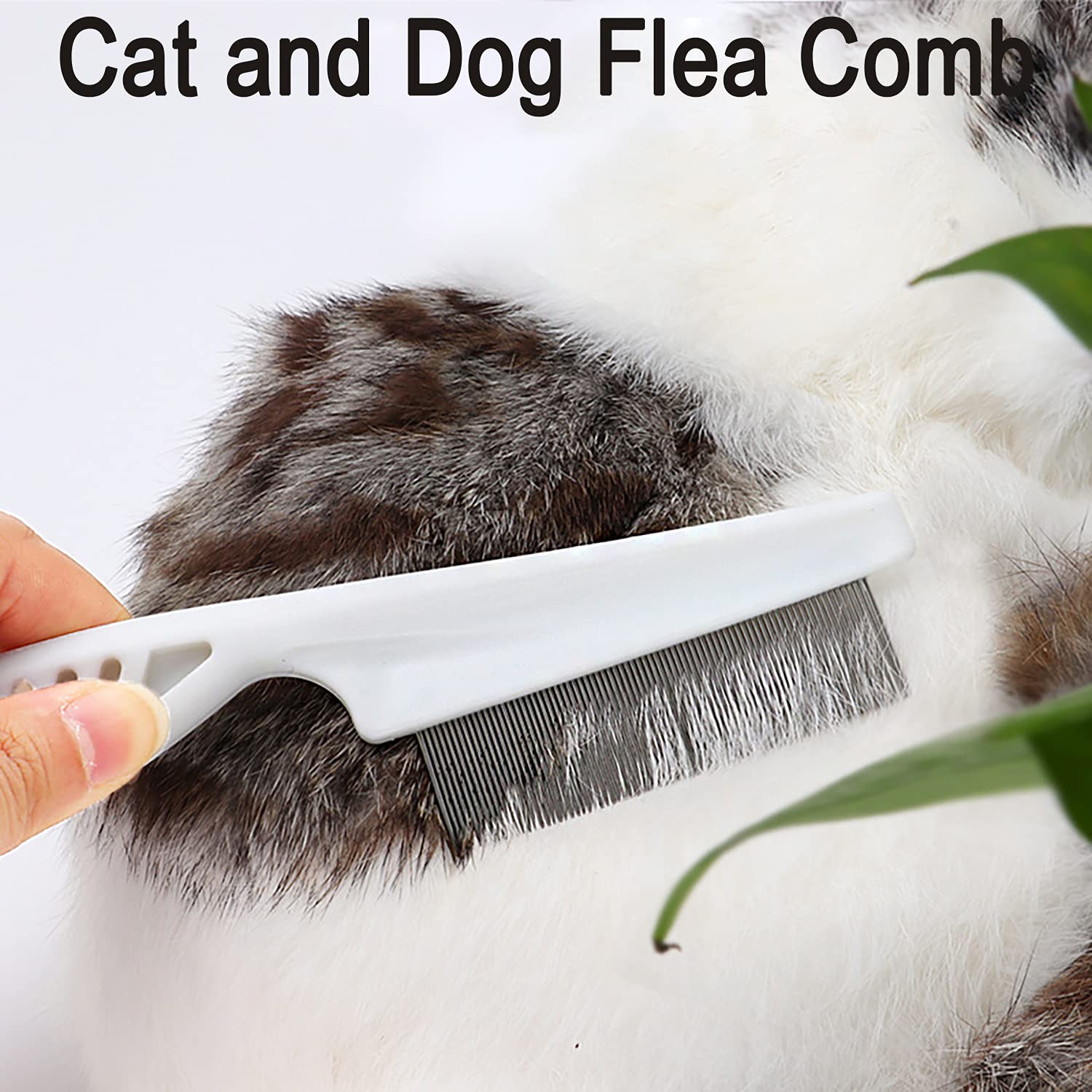 View 7