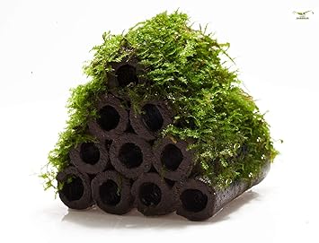 Garnelio Garnelenhaus 10er Aquarium Deko Versteckplatz Fur