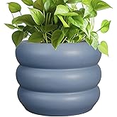 SQOWL Ceramic Pot for Plants - 8 Inch Plant Pot with Drainage Hole Planter for Indoor Plants Outdoor Flower Pot Decorative Pl