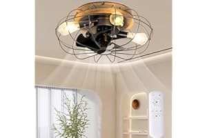 JSAITEE Enclosed Flush Mount Ceiling Fans with Lights and Remote Control, 20 Inch Caged Low Profile Industrial Ceiling Fan, 6-Speed Reversible Motor E26 Bulb Base for Bedroom Living Room Patio