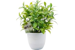 OFFIDIX Mini Plastic Artificial Eucalyptus Leaves Topiary Plant with Pots,Faux Plant Small Plants for Home,Office and Bathroom Decoration