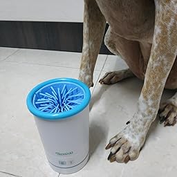 DADYPET Artículos de higiene para Gatos Limpiadora Automática ...