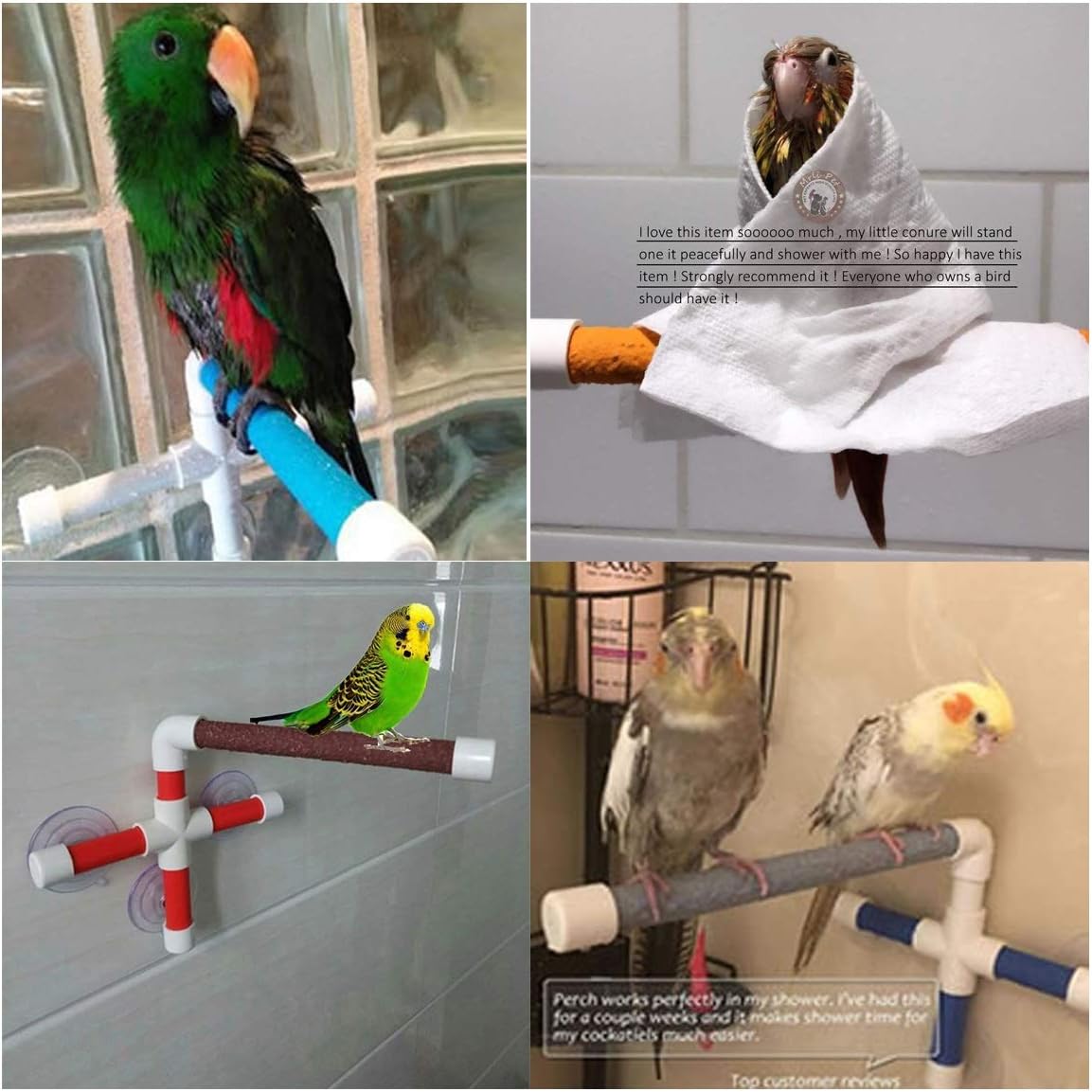 wooden perches for budgies