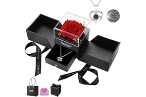 WALFITE Preserved Red Roses with I Love You Necklace in 100 Languages Birthday Gifts for Women Gifts for Wife,Rose Flower Gifts for Her,Preserved Rose with Necklace,Valentines Romantic Gifts for Girl（Red）