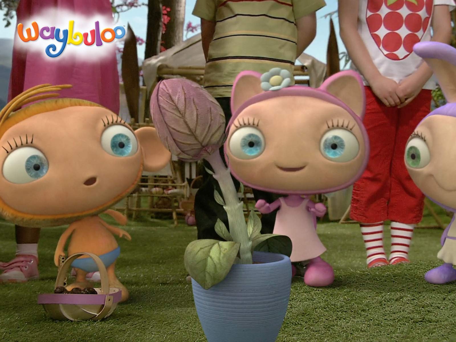 Watch Waybuloo Prime Video