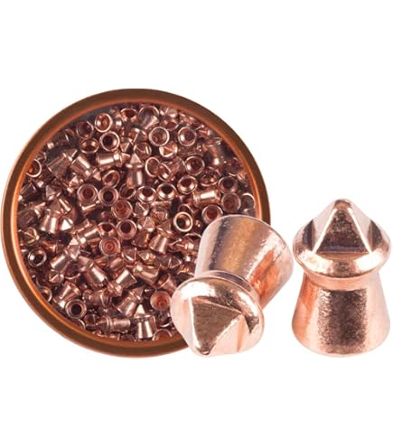 Plombs H&N Sport Champ .177 (4.50mm) Pour Tir Sur Cible Et Chasse - Boîte Neuve