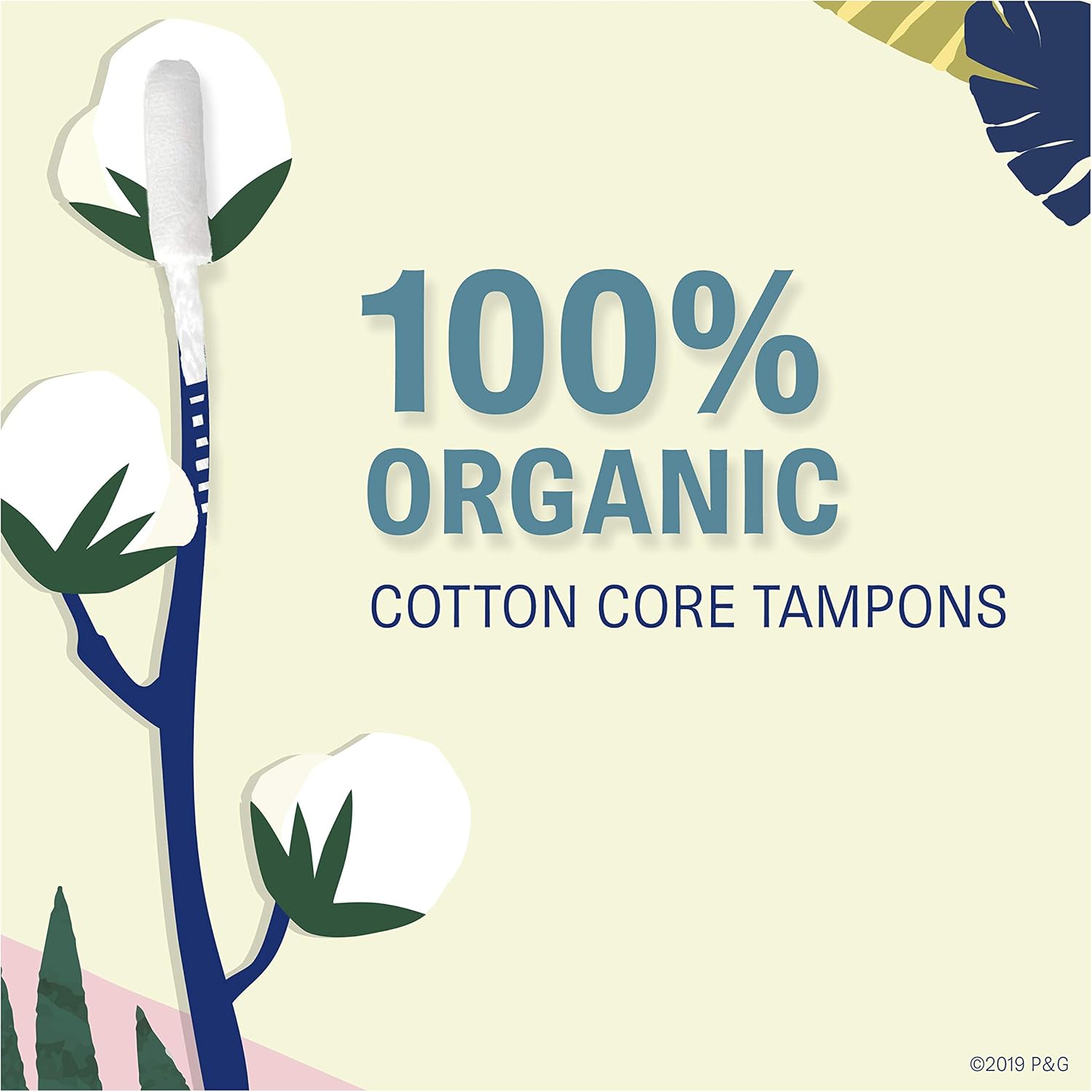 Tampax Pure Organic Tampons, Cotton & Chlorine-Free, Regular Absorbency, Unscented, 16 Count - Pack of 3 (48 Count Total): Health & Personal Care