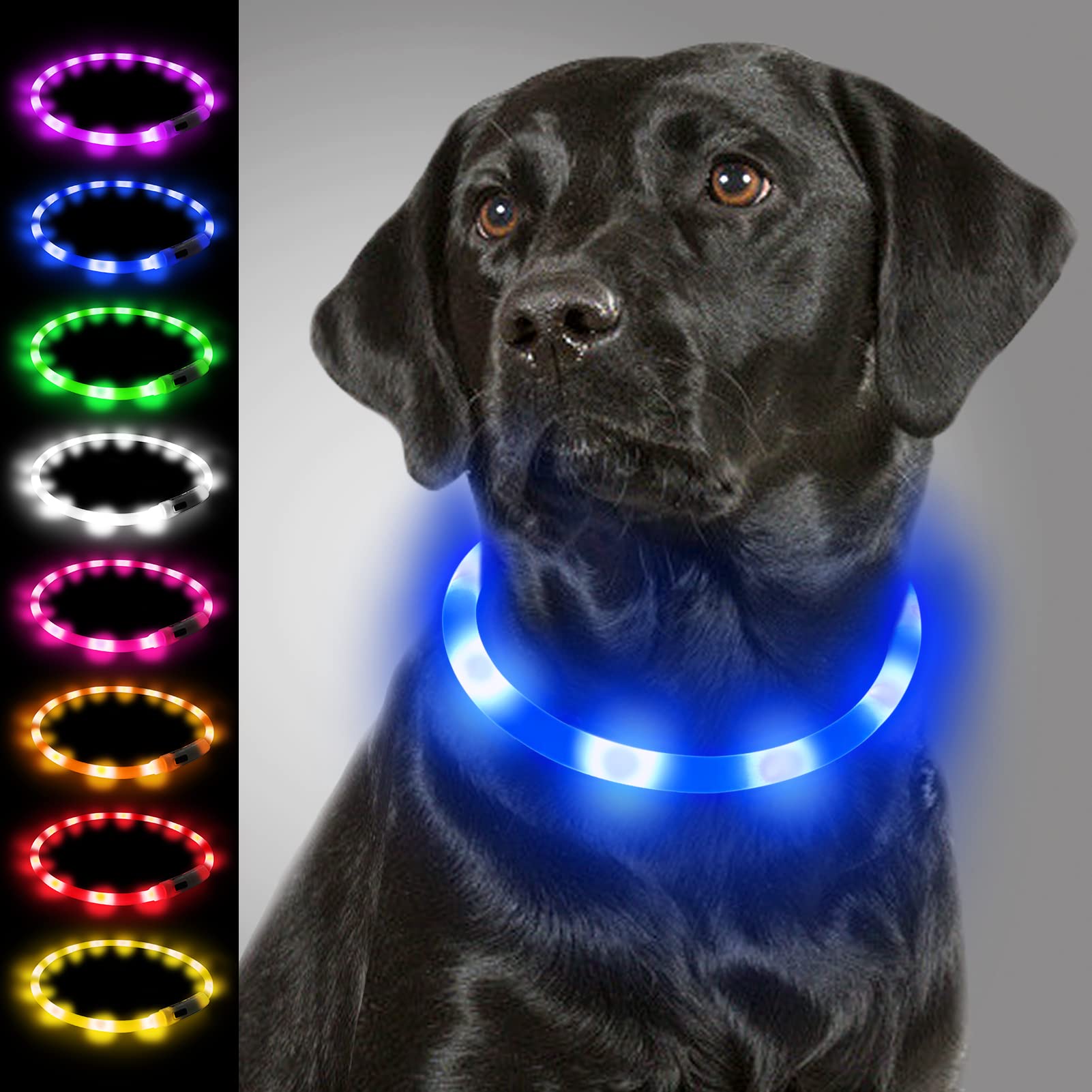 Joytale Light Up Dog Collar, Flashing LED for Night Walking, Rechargeable Glow Collars for Puppy Small Medium and Large Dogs, Blue