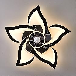 Dalouguan Ceiling Fan with Lights Remote