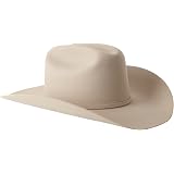 Stetson 0048 El Presidente 100X Hat at 