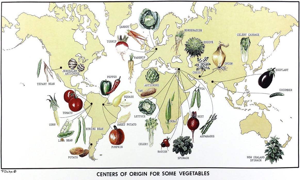 World Map of Vegetable Origins, with Botanical Illustrations, 12 X 20