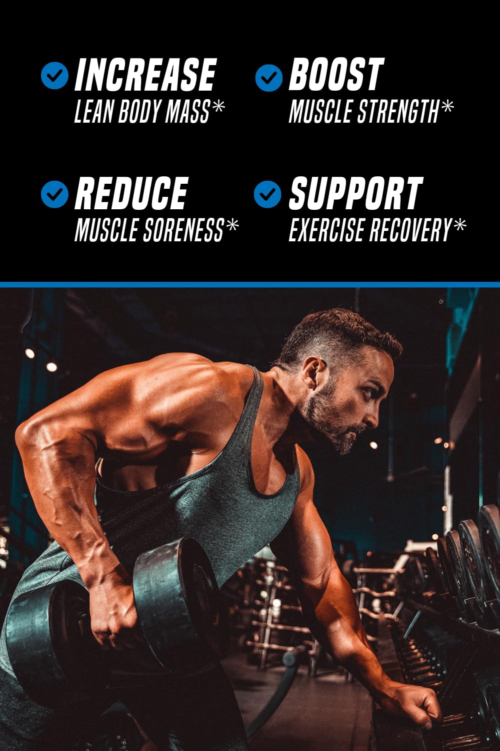 Outwork Nutrition Post Workout Recovery Powder - Creatine Monohydrate, KSM-66 Ashwagandha & Tart Cherry - Speeds Recovery, Eases Soreness - Creatine Powder for Men & Women, Berry Splash, 240 Gr