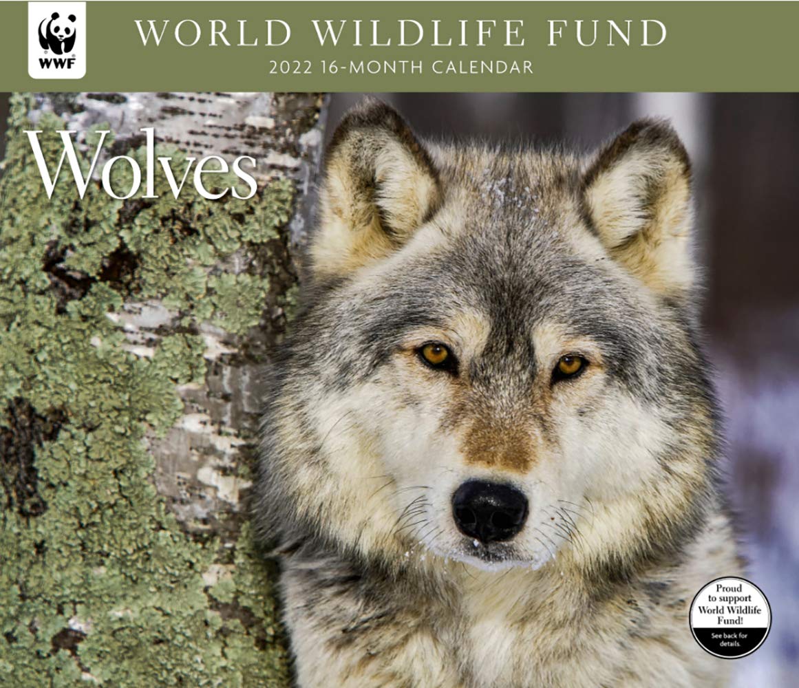 Wolves Wwf 2022 Wall Calendar: World Wildlife Fund: 9781645912002: Amazon.com: Books