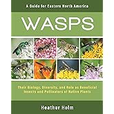 Wasps: Their Biology, Diversity, and Role as Beneficial Insects and Pollinators of Native Plants