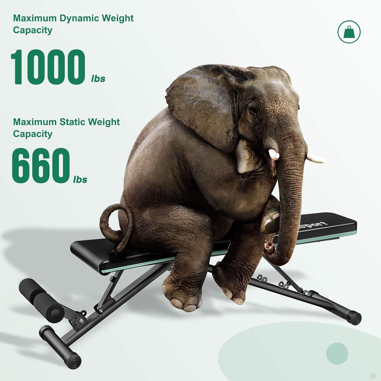 FBSPORT Weight Bench, Adjustable Strength Training Workout Bench, Bench Press for Home Gym Full Body Exercise, Incline Decline Weight Bench Foldable Workout Bench with Bands, Green : Sports & Outdoors