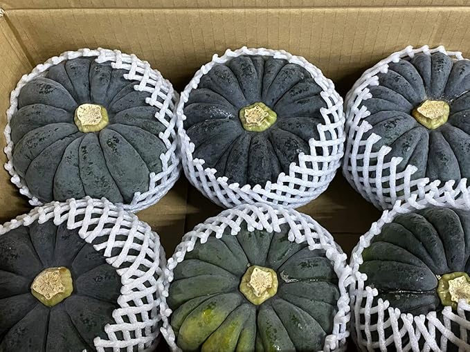Amazon 北海道産 小菊南瓜 かぼちゃ 6 8玉入 M Lサイズ 1箱 生鮮卸売市場 かぼちゃ 通販