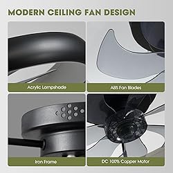 LUDOMIDE Boho Ceiling Fans with Lights, 20" Flush
