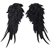 Onwon 1 Pair 3D Angel Wings Embroidered Neckline Lace Trim Applique Sewing On Patches Black Large