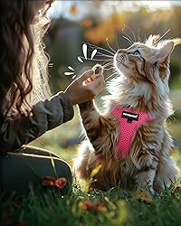 FAYOGOO Cat Harness and Leash Set, Escape