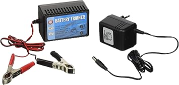 Battery Trainer Ladegera T 12 V 250ah Unloading Charge Battery Charger Amazon Co Uk Car Motorbike