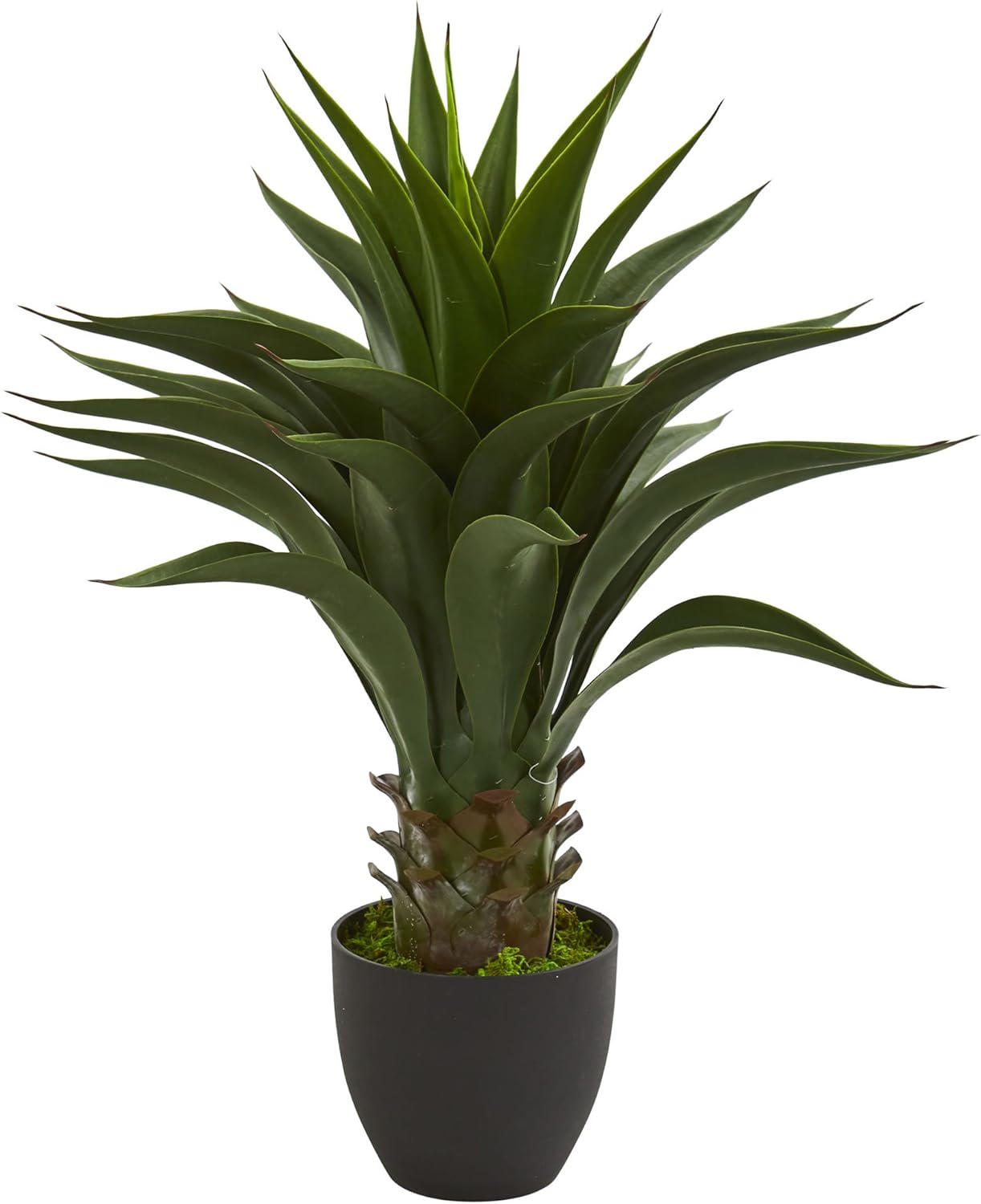 Amazon.com: Nearly Natural 28” Agave Artificial Plant, Green: Home & Kitchen