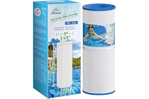 TOREAD Replacement for Spa Filter PRB25-IN, Unicel C-4326, Filbur FC-2375, FC-2370, R173429, 3005845, 17-2327, 100586, 33521, 25392, 817-2500, Guardian 413-106, 5X13 Drop in Spa Filter, 1 Pack