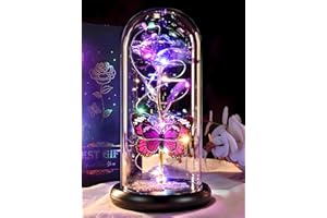 DEEMEI Mothers Day Flower Mom Gifts from Daughter Purple Rose Eternal Flower Light Up Rose in Glass Dome with Butterfly Birthday Gifts for Women Thanksgiving Anniversary Grandma Girlfriend Wife Gift for Her