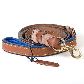 PetsUp Dog Leash for Small Medium Large Dogs (6 Feet x 1 inch, Royal Leash-Tan/Blue)