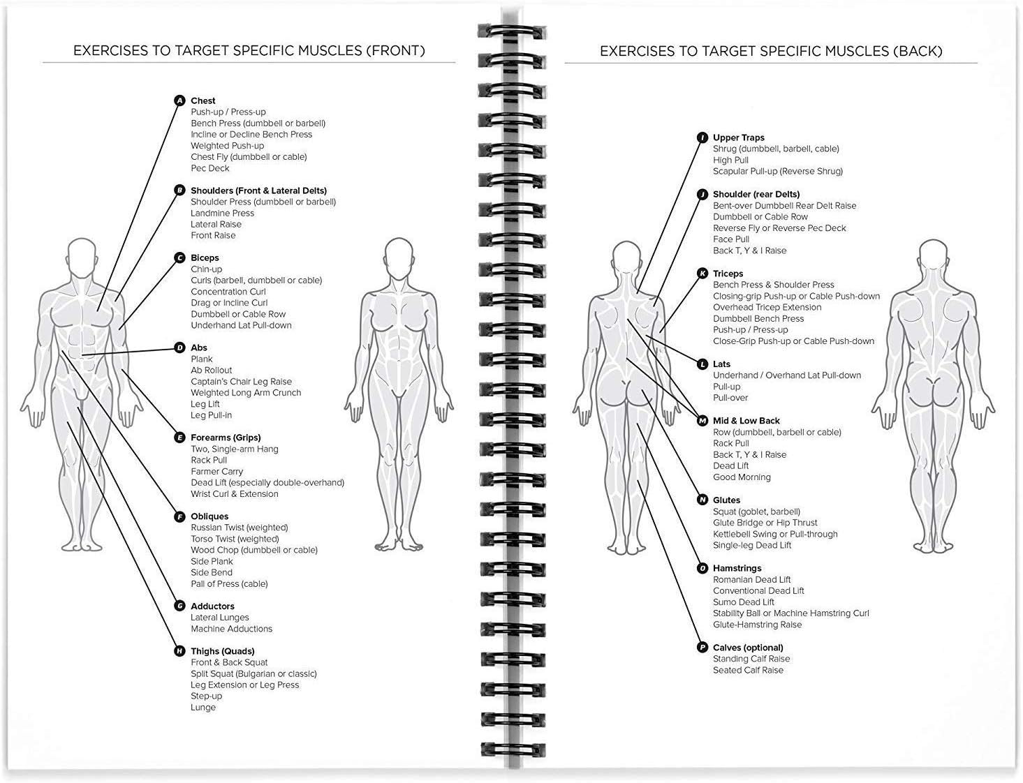 Workout Log Book & Fitness Journal - 25-Week Designed by Experts, w/Illustrations : Track Gym, Bodybuilding & Crossfit Progress - Sturdy Binding, Thick Pages & Laminated, Protected Cover 1-Pack : Sports & Outdoors