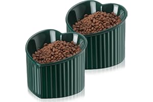 Mumufy 2 Pcs Ceramic Elevated Cat Bowls Tilted Elevated Raised Pet Bowls Anti Vomit Cat Dish for Indoor Stress Free Water Dish Feeder for Puppies, Heart Shaped(Peacock Green)